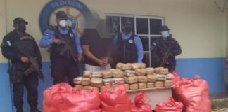 Decomisan 325 libras de marihuana que transportaban oculta en un vehículo en Olancho