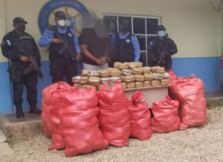Decomisan 325 libras de marihuana que transportaban oculta en un vehículo en Olancho