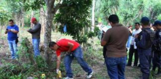 Once defensores de DDHH fueron asesinados en Honduras en 2021, según informe