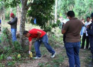 Once defensores de DDHH fueron asesinados en Honduras en 2021, según informe