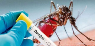 Reportan tres muertes por dengue este año en Honduras, una de ellas confirmada por laboratorio