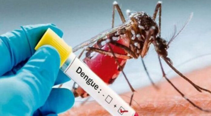 Reportan tres muertes por dengue este año en Honduras, una de ellas confirmada por laboratorio