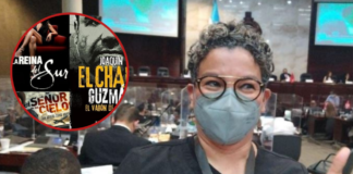 Diputada presenta iniciativa de ley en el CN para prohibir las narconovelas en Honduras