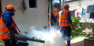 Departamento de Olancho bajo epidemia por el alto nivel de casos de Dengue