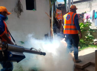 Departamento de Olancho bajo epidemia por el alto nivel de casos de Dengue