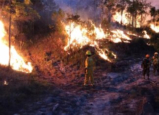 Honduras registra unos 54 incendios forestales en el primer bimestre del año