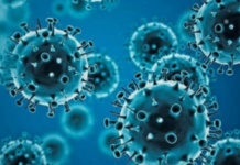 Epidemiólogo hondureño muestra preocupación por llegada de nueva variante de Ómicron BA2