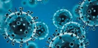 Epidemiólogo hondureño muestra preocupación por llegada de nueva variante de Ómicron BA2