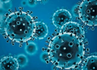 Epidemiólogo hondureño muestra preocupación por llegada de nueva variante de Ómicron BA2