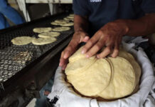 Aumenta el precio de las tortillas en Honduras, tras el incremento al quintal del maíz