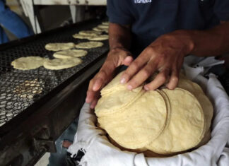 Aumenta el precio de las tortillas en Honduras, tras el incremento al quintal del maíz