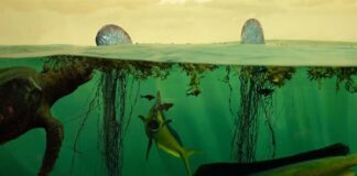 Si no se frena el cambio climático, los océanos sufrirán una extinción masiva