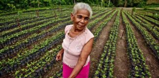 Solo 14 % de las mujeres rurales tienen tierras en Honduras y 70 % son pobres