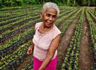 Solo 14 % de las mujeres rurales tienen tierras en Honduras y 70 % son pobres