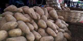 Aumenta cuatro lempiras la libra de papa en mercados capitalinos