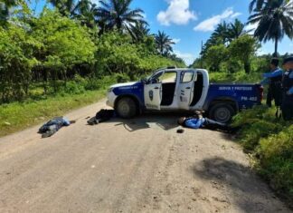 En una emboscada acribillan a tres policías en Trujillo, Colón
