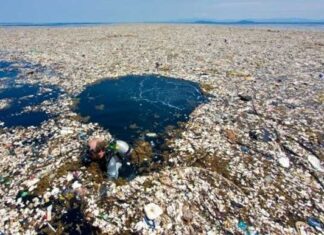 Autoridades de Guatemala visitarán Honduras para abordar la problemática de la contaminación del río Motagua