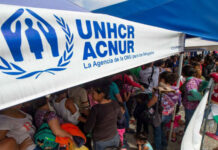 El flujo migratorio requiere de respuestas coordinadas y solidaridad, según ACNUR