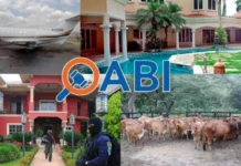 Unas tres demandas enfrenta la OABI porque no aparecen bienes reclamados por sus dueños