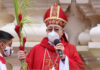 Cardenal Rodríguez lamenta la violencia en el mundo en el Domingo de Ramos