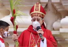 Cardenal Rodríguez lamenta la violencia en el mundo en el Domingo de Ramos