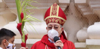 Cardenal Rodríguez lamenta la violencia en el mundo en el Domingo de Ramos