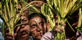 Campesinos llegan con palmas a iglesias hondureñas previo al Domingo de Ramos