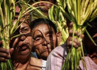 Campesinos llegan con palmas a iglesias hondureñas previo al Domingo de Ramos