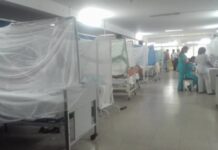 Prevén un aumento del 50% en los casos de dengue por la temporada lluviosa en el país