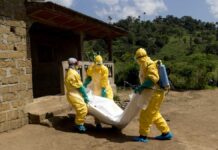 OMS confirmó la segunda muerte por brote de ébola en el Congo