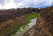 El SANAA advierte que la situación del agua en la capital es complicada por la escasez