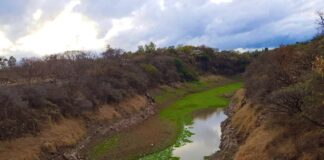 El SANAA advierte que la situación del agua en la capital es complicada por la escasez