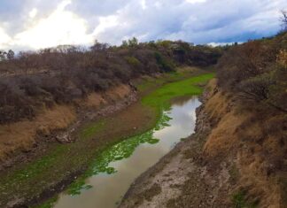 El SANAA advierte que la situación del agua en la capital es complicada por la escasez