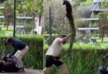 Hondureño le salva la vida a una mujer cuando intentaban asesinarla en Ecuador