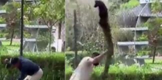 Hondureño le salva la vida a una mujer cuando intentaban asesinarla en Ecuador