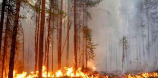 Incendios forestales se reducen en un 80% en la zona noroccidental