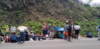 Urge una declaratoria de emergencia y dar amnistía a inmigrantes que pasan por Honduras