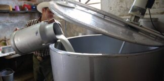 Productores piden un incremento de 2 lempiras por el litro de leche