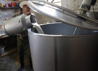 Productores piden un incremento de 2 lempiras por el litro de leche