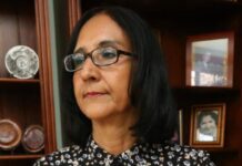 Sistema financiero siempre buscará mantener o incrementar su rentabilidad, dice economista Liliana Castillo