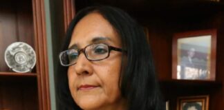 Sistema financiero siempre buscará mantener o incrementar su rentabilidad, dice economista Liliana Castillo