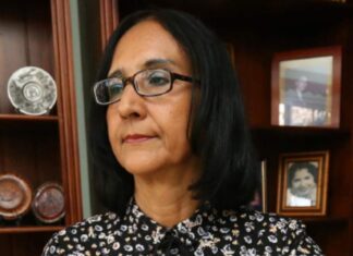 Sistema financiero siempre buscará mantener o incrementar su rentabilidad, dice economista Liliana Castillo