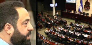 Congreso Nacional brindará seguridad a todos los diputados