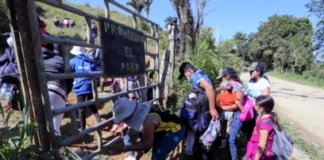 Organismos humanitarios implementan planes de atención en la frontera entre Honduras y Nicaragua