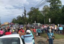 Maestros Proheco protestan y reclaman plazas en la zona Norte