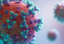 Secretaría de Salud descarta presencia de subvariante BA.2 de Ómicron en el país