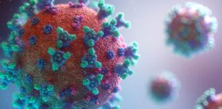 Secretaría de Salud descarta presencia de subvariante BA.2 de Ómicron en el país