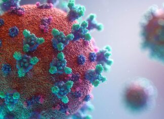 Secretaría de Salud descarta presencia de subvariante BA.2 de Ómicron en el país