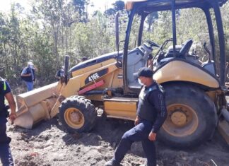 Sentencia condenatoria contra tres ciudadanos por explotación ilegal de recursos naturales en La Tigra
