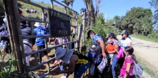 Organizaciones reclaman decretar emergencia humanitaria ante llegada de migrantes a Honduras